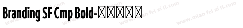 Branding SF Cmp Bold字体转换